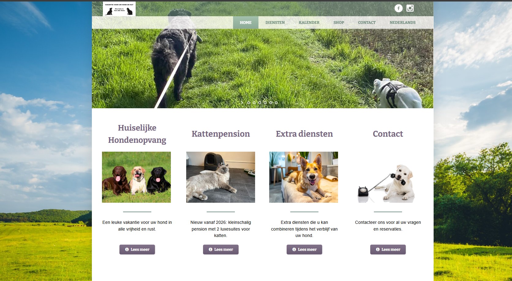 introfoto zoektermgerichte content website